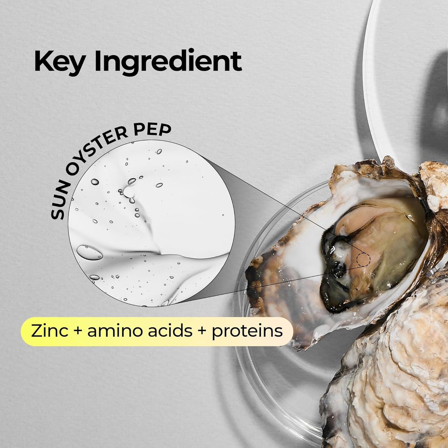 Oyster Pep3 Renewal Cream | Daily Anti-Aging Face Moisturizer, Skin Elasticity & Reduce Wrinkle, 50ml,1.69 fl oz.